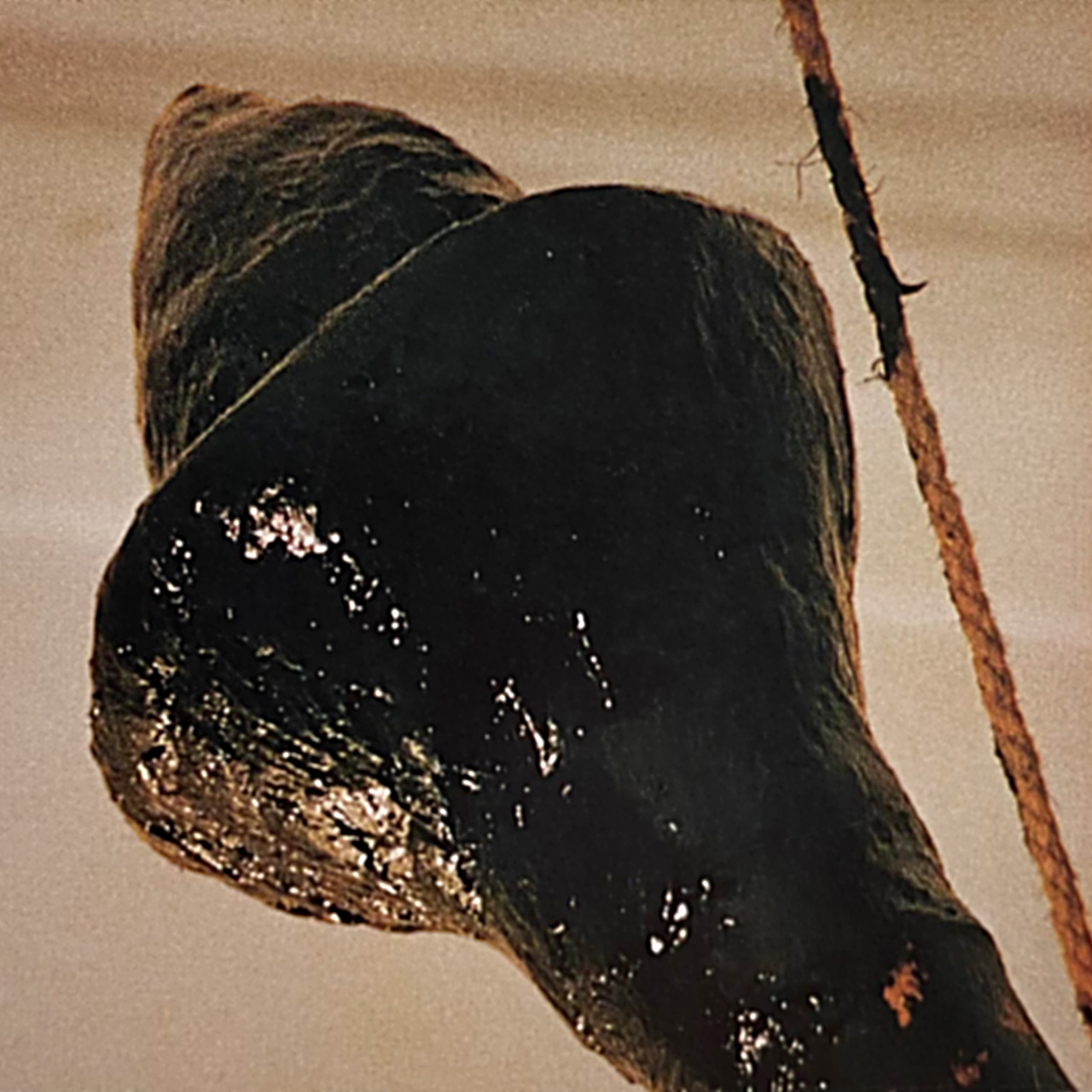 Media Image2
