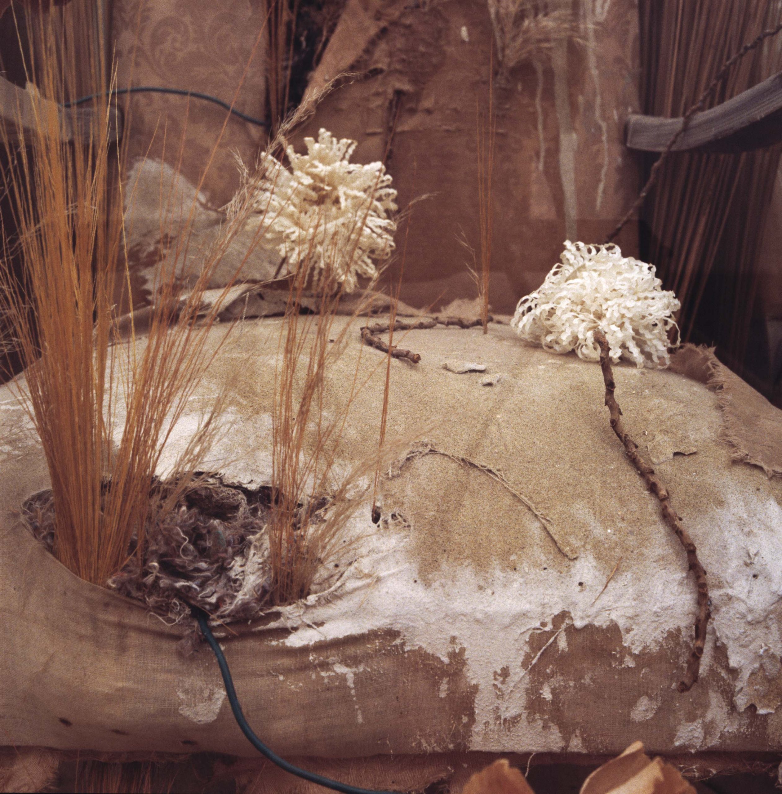 Media Image4