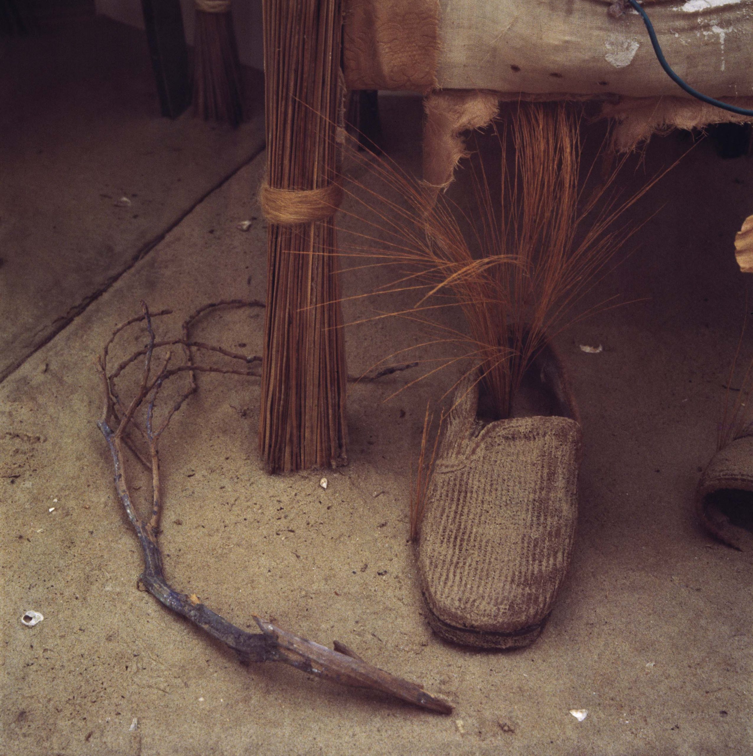 Media Image5