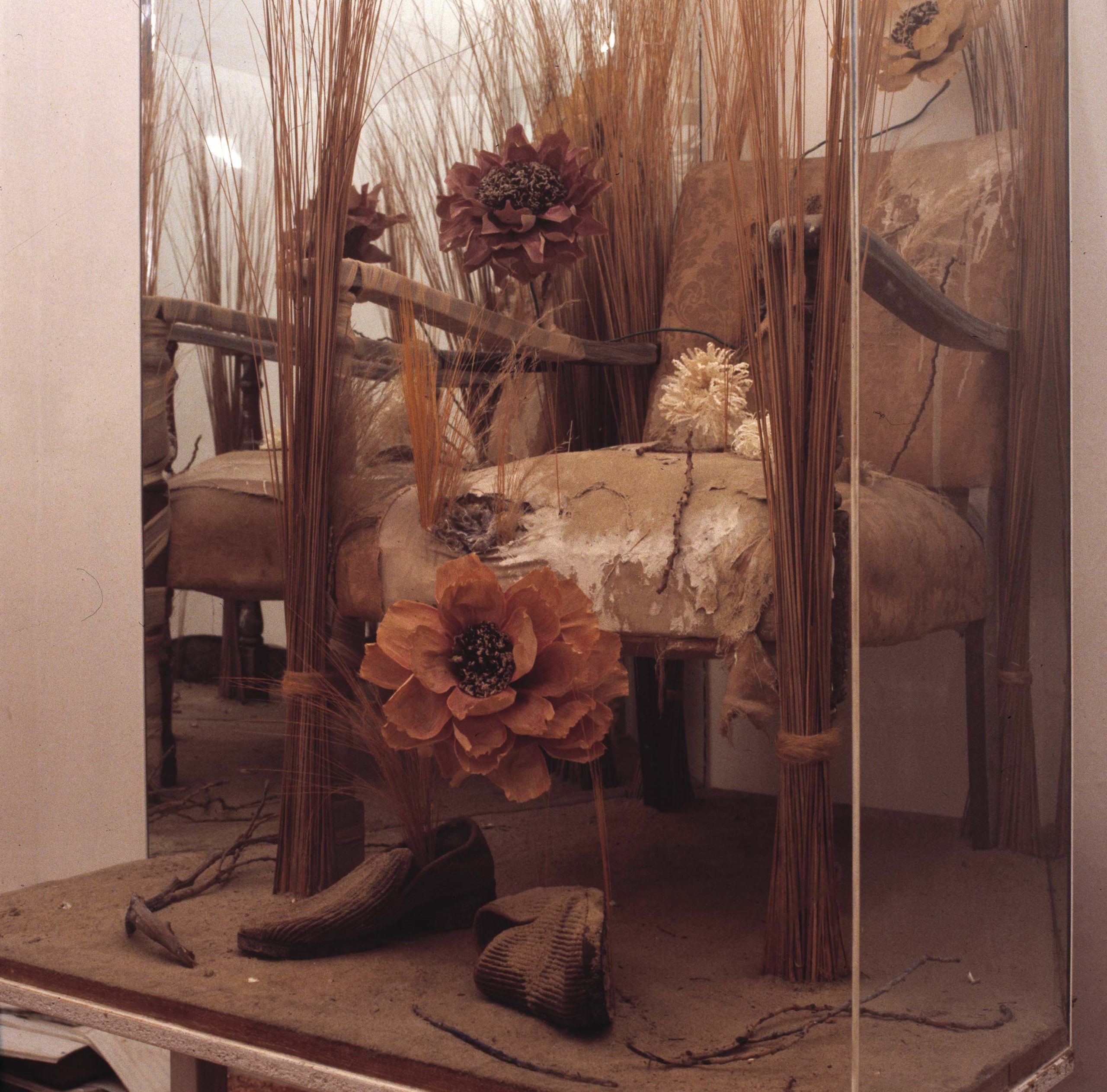 Media Image7
