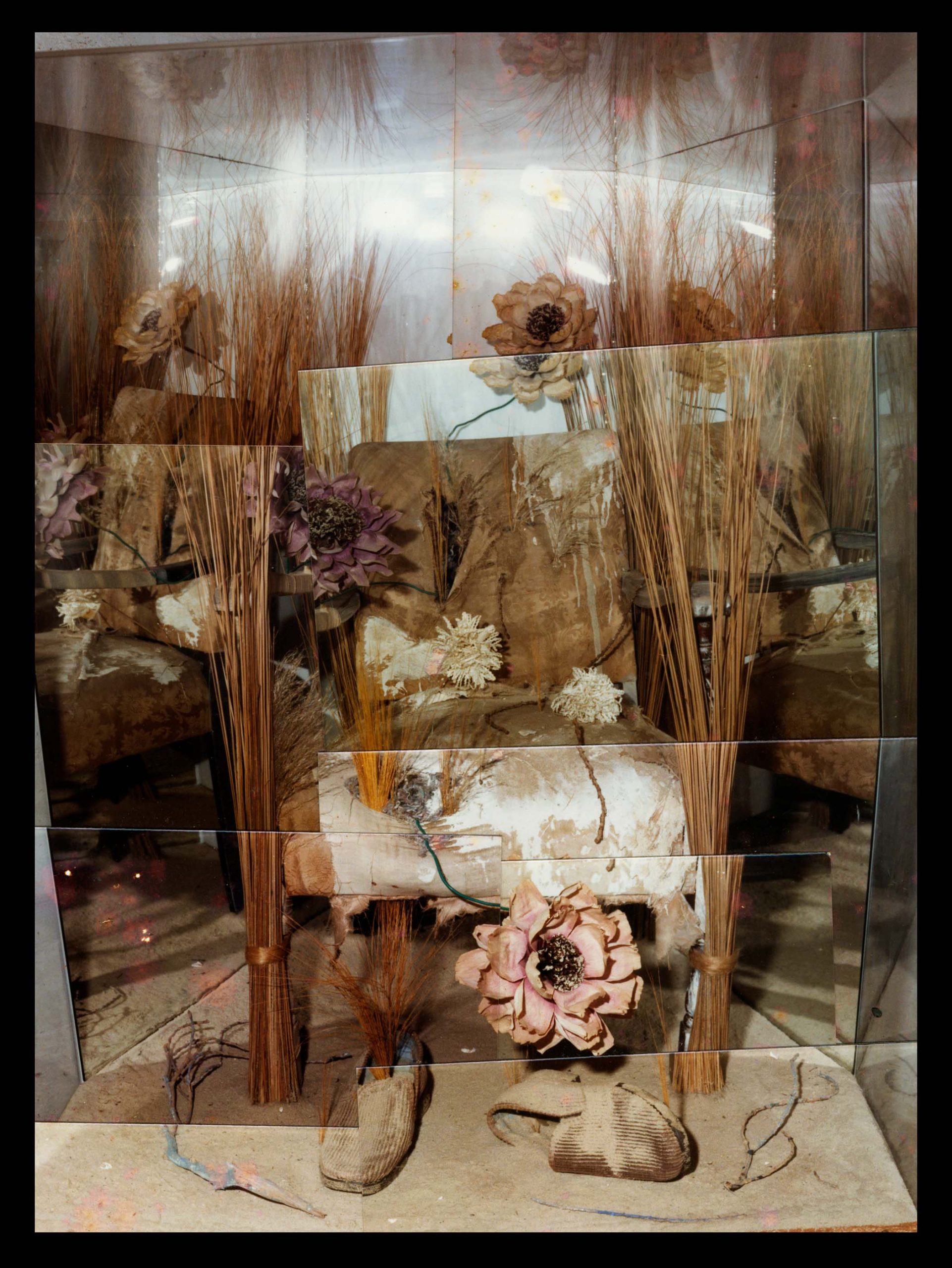Media Image6