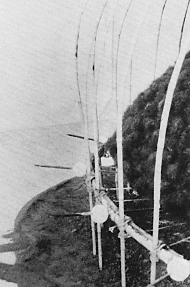 Media Image3