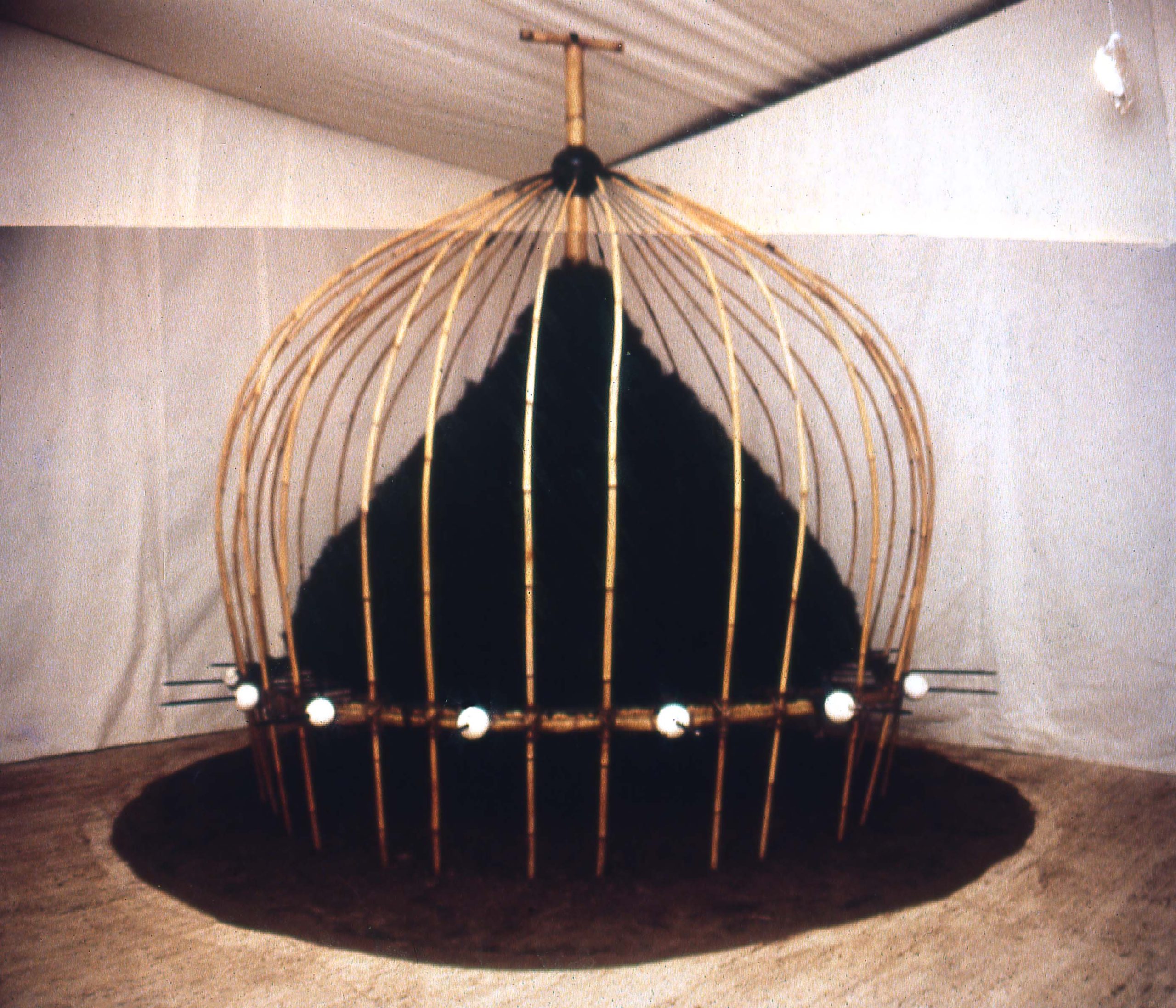 Media Image1